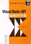 Visual Basic API 编程百例通 (精装) pdf epub mobi 电子书 下载