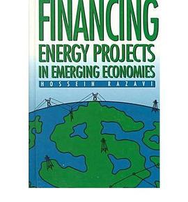 Financing Energy Projects in Emerging Economies pdf epub mobi 电子书 下载