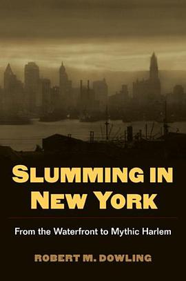 Slumming in New York pdf epub mobi 电子书 下载