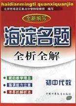 海淀名题全析全解-初中代数