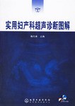 实用妇产科超声诊断图解 pdf epub mobi 电子书 下载