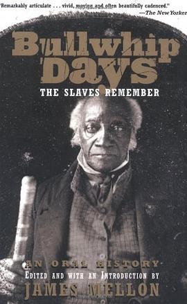 Bullwhip Days pdf epub mobi 電子書 下載