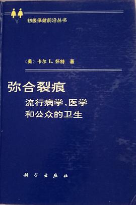 弥合裂痕 pdf epub mobi 电子书 下载