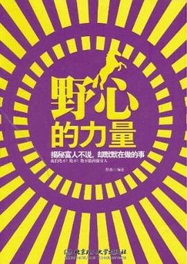 野心的力量 pdf epub mobi 电子书 下载