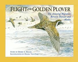 Flight of the Golden Plover