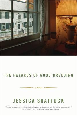 The Hazards of Good Breeding pdf epub mobi 电子书 下载