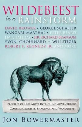 Wildebeest in a Rainstorm pdf epub mobi 电子书 下载