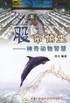 股市仿生-神奇动物智慧 pdf epub mobi 电子书 下载
