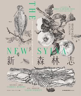 新森林志 pdf epub mobi 电子书 下载