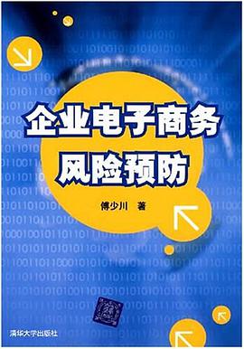 企业电子商务风险预防 pdf epub mobi 电子书 下载