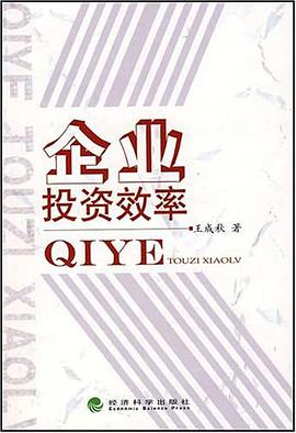 企业投资效率 pdf epub mobi 下载