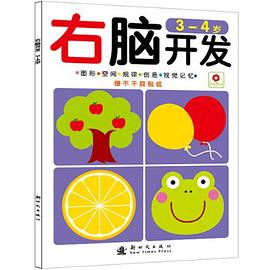右脑开发 pdf epub mobi 电子书 下载