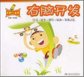 右脑开发 pdf epub mobi 电子书 下载