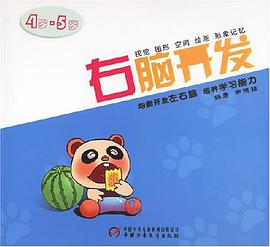 右脑开发 pdf epub mobi 电子书 下载