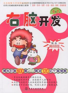 右脑开发 pdf epub mobi 电子书 下载