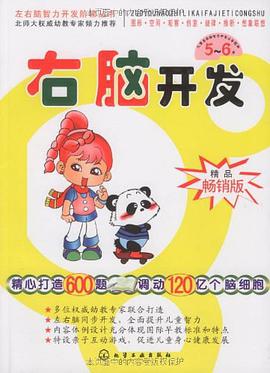 右脑开发 pdf epub mobi 电子书 下载