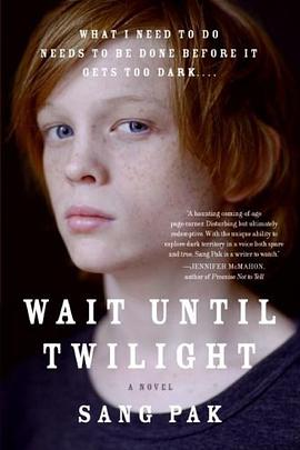 Wait Until Twilight pdf epub mobi 下载