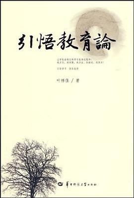 引悟教育论 pdf epub mobi 电子书 下载