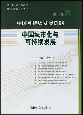 中国城市化与可持续发展/中国可持续发展总纲（第12卷） pdf epub mobi 电子书 下载