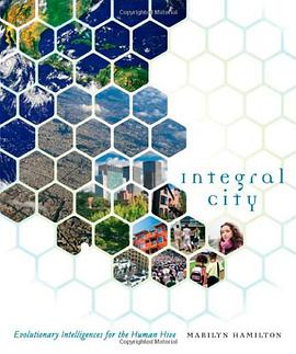 Integral City pdf epub mobi 电子书 下载