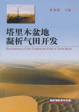塔里木盆地凝析气田开发 pdf epub mobi 电子书 下载