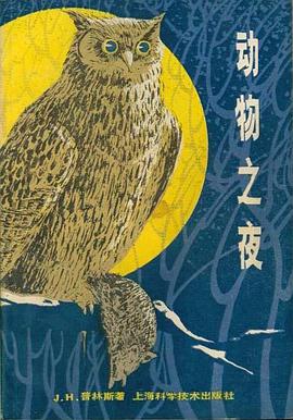 动物之夜 pdf epub mobi 下载