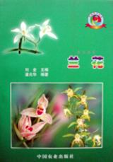 兰花 pdf epub mobi 电子书 下载