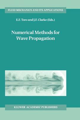Numerical Methods for Wave Propagation (Fluid Mechanics and Its Applications) pdf epub mobi 电子书 下载