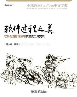 软件过程之美 pdf epub mobi 电子书 下载