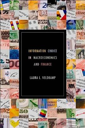 Information Choice in Macroeconomics and Finance pdf epub mobi 电子书 下载
