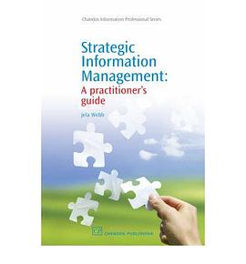 Strategic Information Management