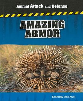 Amazing Armor pdf epub mobi 电子书 下载