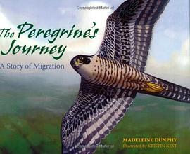 The Peregrine's Journey pdf epub mobi 電子書 下載