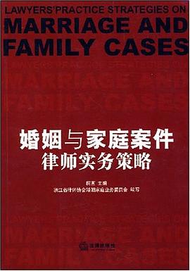 婚姻与家庭案件律师实务策略 pdf epub mobi 电子书 下载