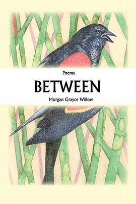 Between pdf epub mobi 电子书 下载