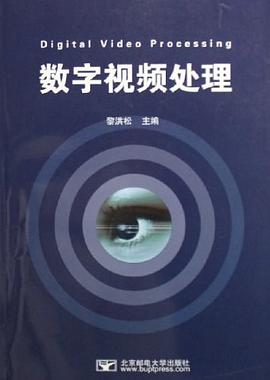 数字视频处理 pdf epub mobi 电子书 下载