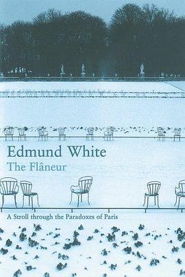 The Flaneur pdf epub mobi 電子書 下載