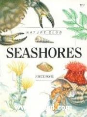 Seashores pdf epub mobi 下载