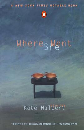 Where She Went pdf epub mobi 电子书 下载