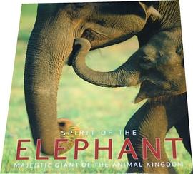 大象的精神Spirit of the Elephant pdf epub mobi 電子書 下載