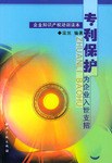 专利保护 pdf epub mobi 电子书 下载