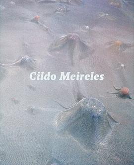Cildo Meireles pdf epub mobi 電子書 下載