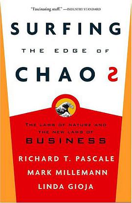 Surfing the Edge of Chaos pdf epub mobi 电子书 下载