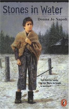 Stones in Water pdf epub mobi 电子书 下载