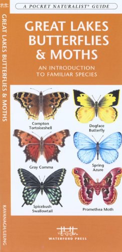 Great Lakes Butterflies & Moths pdf epub mobi 电子书 下载