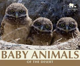 Baby Animals of the Desert pdf epub mobi 电子书 下载