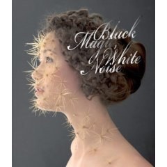 Black Magic, White Noise pdf epub mobi 电子书 下载