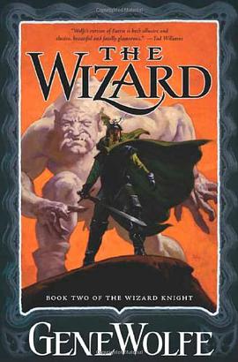The Wizard pdf epub mobi 电子书 下载