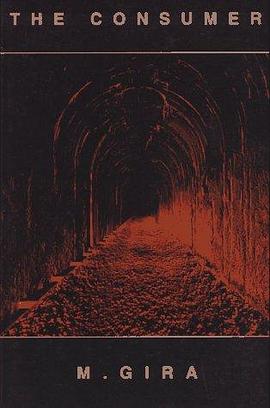 The Consumer pdf epub mobi 下载