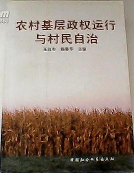 农村基层政权运行与村民自治